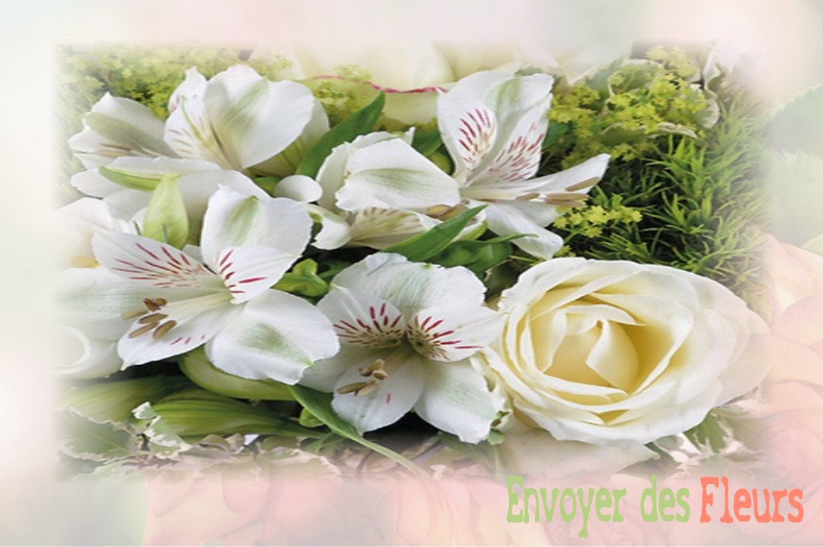 envoyer des fleurs à à PEYRAT-LE-CHATEAU
